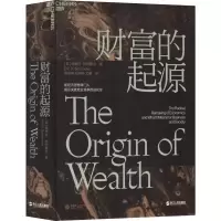 音像财富的起源(英)埃里克·拜因霍克(Eric D.Beinhocker)