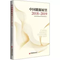 音像中国能源展望2018-2019展革能源研究所中国能源展望课题组