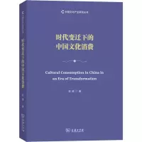 音像时代变迁下的中国文化消费范周