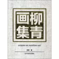 音像柳青画集柳青