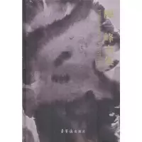 音像陈一峰画集陈一峰 绘