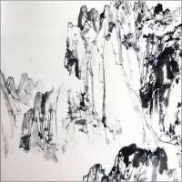 音像巴蜀过客任启华