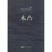 音像木凸(陆天明经典作品集)陆天明