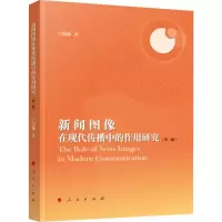 音像新闻图像在现代传播中的作用研究(第2版)宁海林