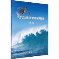 音像干涉合成孔径雷达海浪遥感张彪