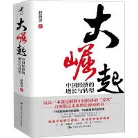 音像大崛起:中国经济的增长与转型赵燕菁