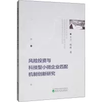 音像风险与科技型小微企业匹配机制创新研究王兰,邱科