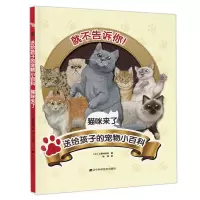 音像送给孩子的宠物小百科:猫咪来了(日)小野寺佑纪,张岚 译