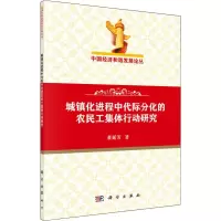 音像城镇化进程中代际分化的农民工集体行动研究董延芳