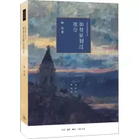 音像如彗星划过夜空 近距离看美国之四林达