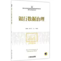 音像银行数据治理/银行业信息化丛书陆顾新