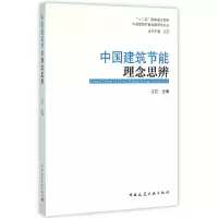 音像中国建筑节能理念思辨/中国建筑节能发展研究丛书江忆