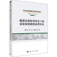 音像能源消费转型背景下的家庭取暖散煤治理评估谢伦裕 等