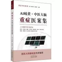 音像AI岐黄:中医大脑重症医案集(美) 林大栋,张灿宏