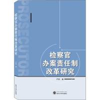 音像检察官办案责任制改革研究严然