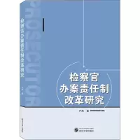 音像检察官办案责任制改革研究严然