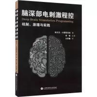音像脑深部电刺激程控:机制、原理与实践(美)埃尔文·小蒙哥马利