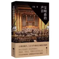音像交响曲的声音王锐著