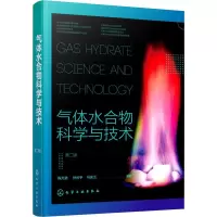 音像气体水合物科学与技术 第2版进,孙长宇,马庆兰