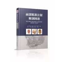 音像面部精准注解剖图谱隋鸿锦,郝立君,于胜波