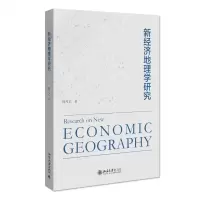 音像新经济地理学研究杨开忠著