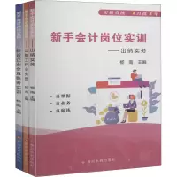 音像新手会计岗位实训(全3册)杨南 编