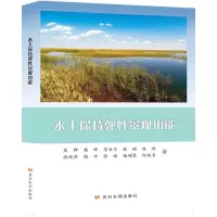 音像水土保持弹景观功能吴卿 等