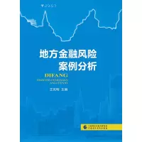 音像地方金融风险案例分析王宪明