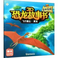 音像飞行霸主·翼龙 空中见闻崔钟雷 编