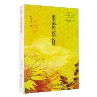 音像雨露群蜂/民国通俗小说典藏文库耿郁溪著