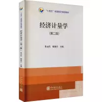 音像经济计量学(第2版)李占凤,胡淑兰 编