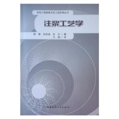 音像注浆工艺学程骁 刘启成 白云 著