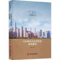 音像G20峰会与全球规则重构孙立行 等