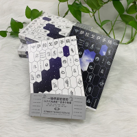 音像萨拉戈萨手稿(套装共2册)(波)扬·波托茨基