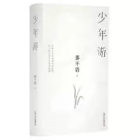 音像少年游(精)黍不语