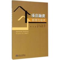 音像项目融资原理与技术陈志强