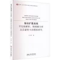 音像驱动扩散系统平均场解析、解分析及其蒙特卡洛模拟研究王玉青