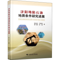 音像济阳坳陷石油地质条件研究进展郭元岭 等