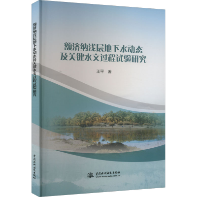 音像额济纳浅层地下水动态及关键水文过程试验研究王平