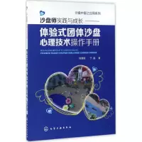 音像沙盘师实践与成长刘建新,于晶 著