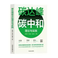 音像碳达峰碳中和理论与实践徐锭明,李金良,盛春光 著