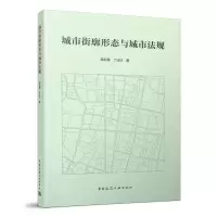 音像城市街廓形态与城市法规高彩霞,丁沃沃