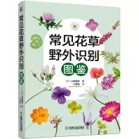 音像常见花草野外识别图鉴(日)山田隆彦