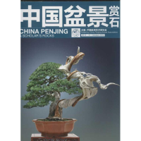 音像中国盆景赏石2012-10