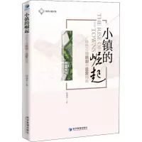 音像小镇的崛起 特色小镇规划与运营指南印建平
