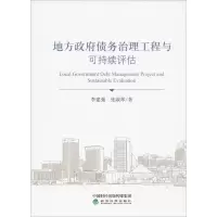 音像地方债务治理工程与可持续评估李建强,张淑翠