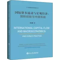 音像国际资本流动与宏观经济:国际经验与中国实践崔远淼
