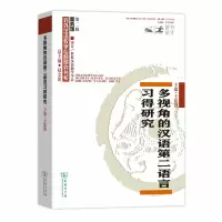 音像多视角的汉语第二语言习得研究王建勤