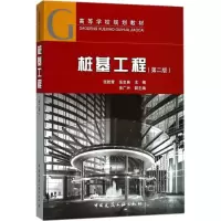 音像桩基工程(第2版高等学校规划教材)张乾青 等