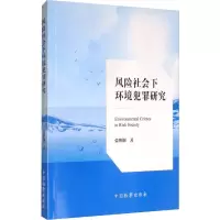 音像风险社会下环境犯罪研究张继钢
